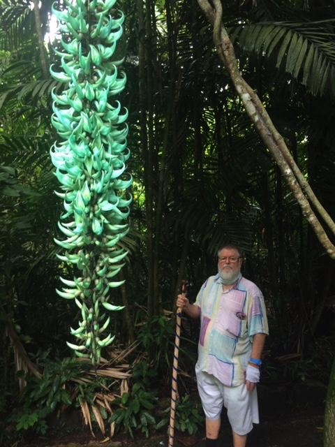 Michael and our jade vine